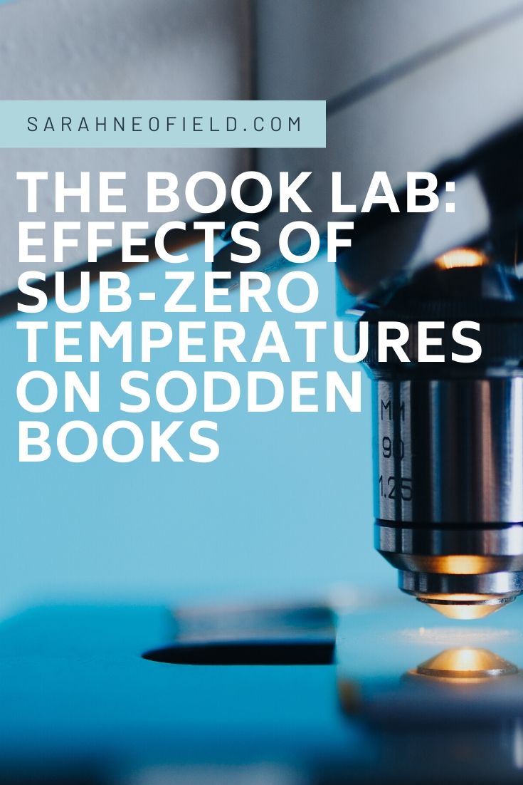 The Book Lab: Effects of Sub-Zero Temperatures on Sodden Books